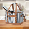 Beer Cooler Bag