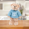 Teddy Bear With It's A Boy